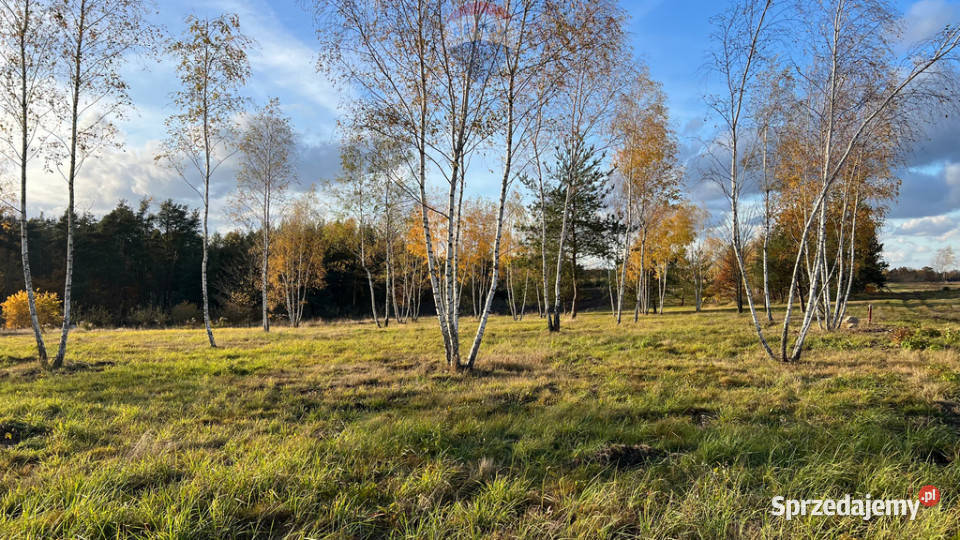 Działka budowlana 5920 Józefów gm Pniewy