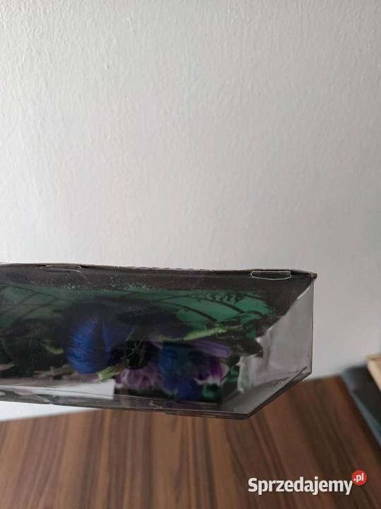 Lalka Monster High Gloom and Bloom Amanita Lalki i akcesoria Jędrzejów