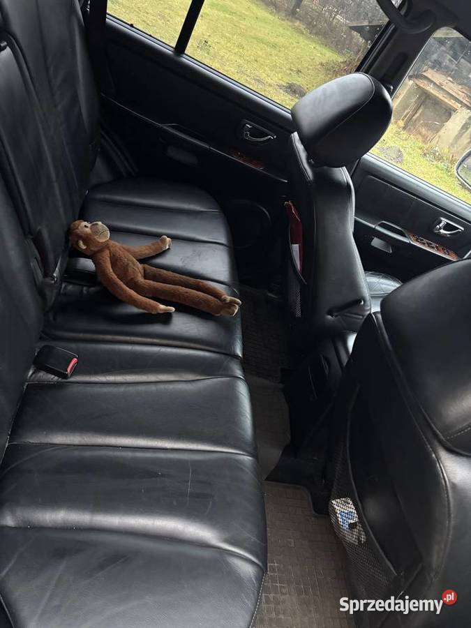 Hyundai Terracan Susiec