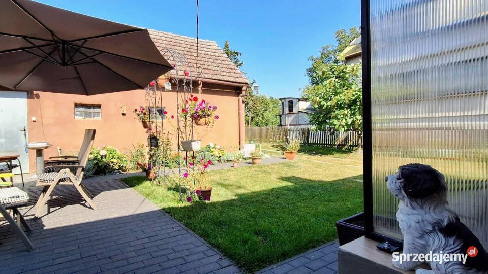 Sprzedam dom bliźniak Golenice 100m2 3 piętra i więcej