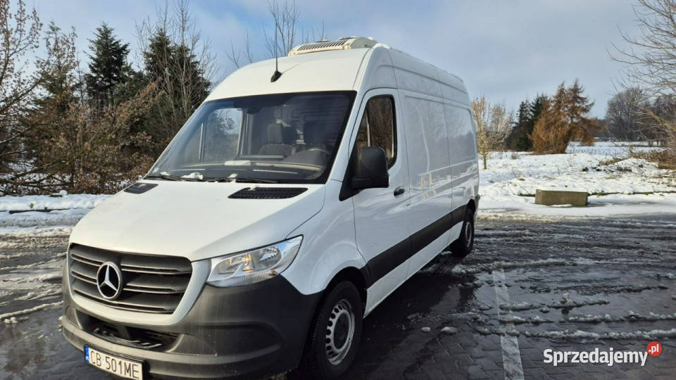Mercedes Sprinter Chłodnia Polski Salon Mercedes-Benz Suchorzew
