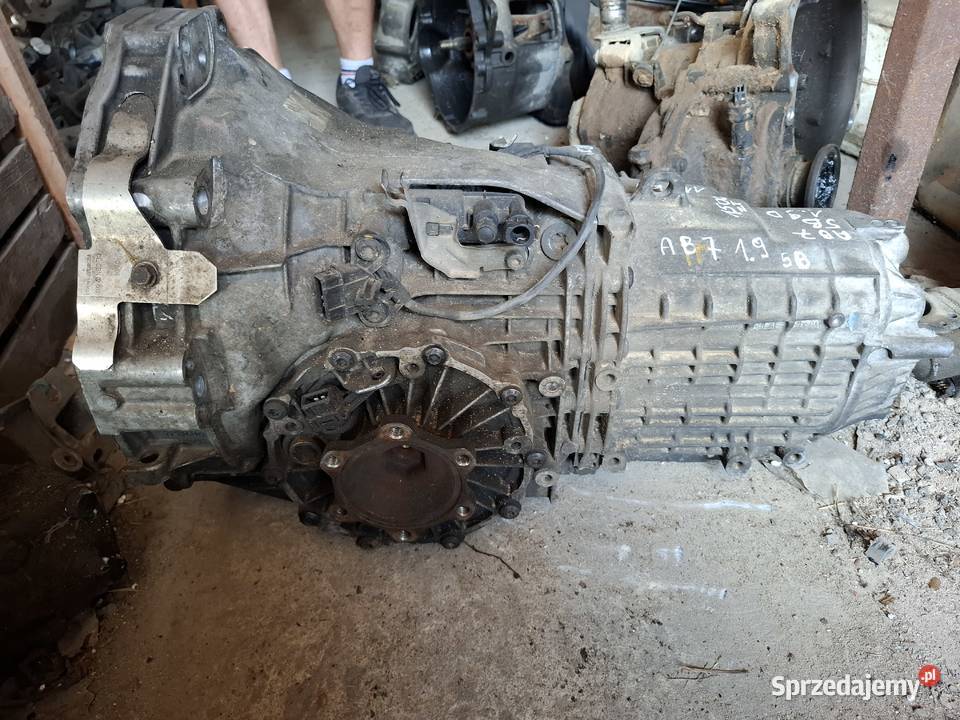 Skrzynia Biegów Audi A4 B5 19D 116 5Bieg Wisznice sprzedam