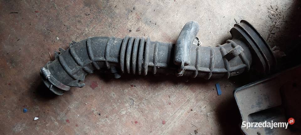 Honda Accord 1999 2000 2001 dolot powietrza rura dolnośląskie Byków
