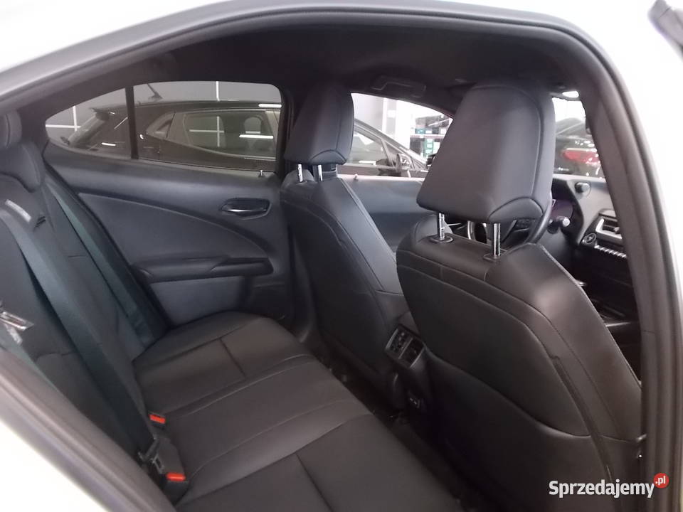 LEXUS UX 250H bEE AutomatSalon Polska benzyna Dębica sprzedam