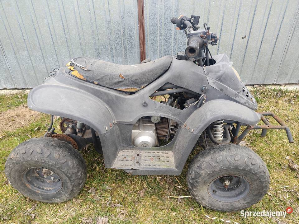 Quady do poprawek Starzenice