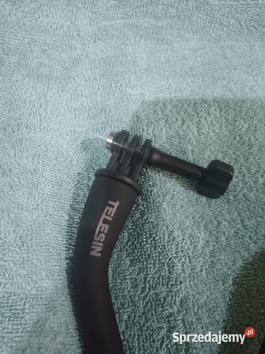 Telesin Parkoszowice