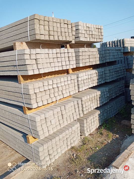 Słupek betonowy Siatka leśna Słupki betonowe sprzedam