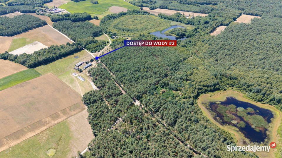 Duża działka z lasem i oczkiem wodnym 23.58m2 Babiec-Więczanki sprzedam