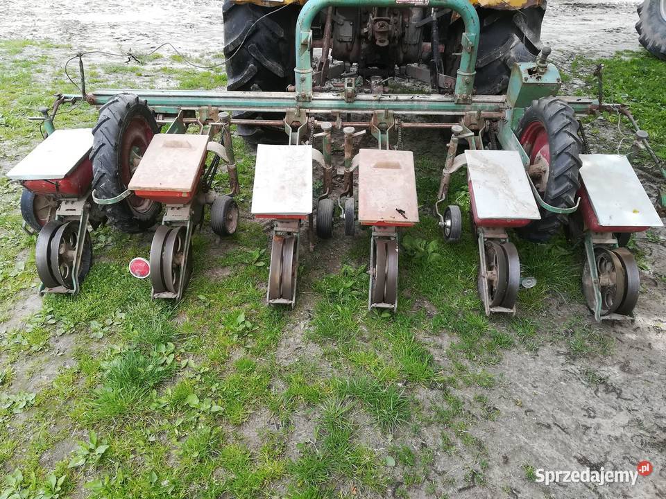 Siewnik do buraków Polanówka