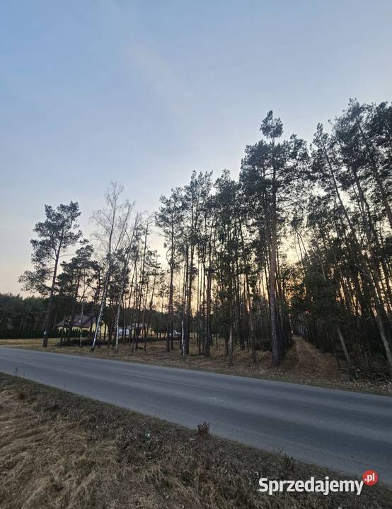 Działka budowlana w lesie 2631m 2MRU Dokudów II Sprzedaż lubelskie Dokudów Drugi