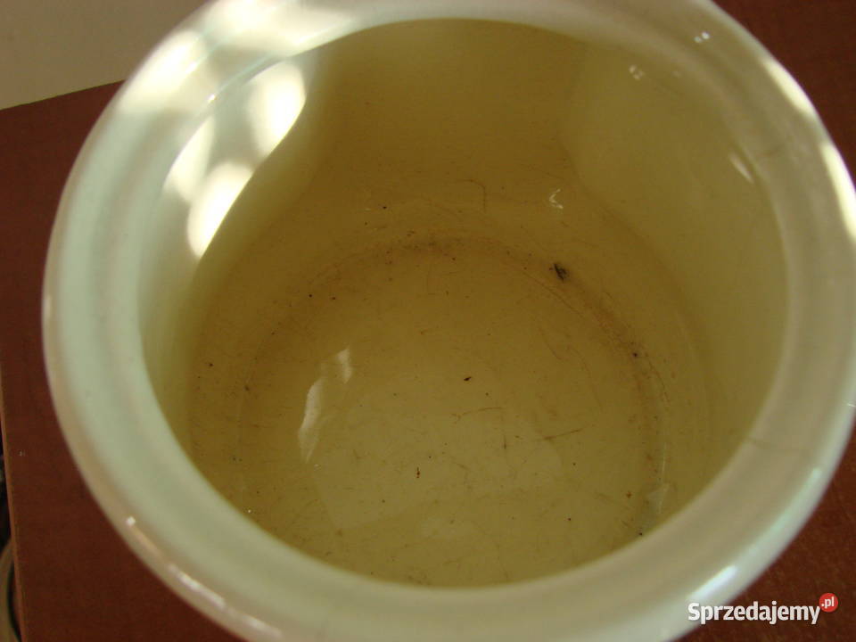 Włocławek fajansowy ścienny pojemnik Pozostałe pomorskie sprzedam