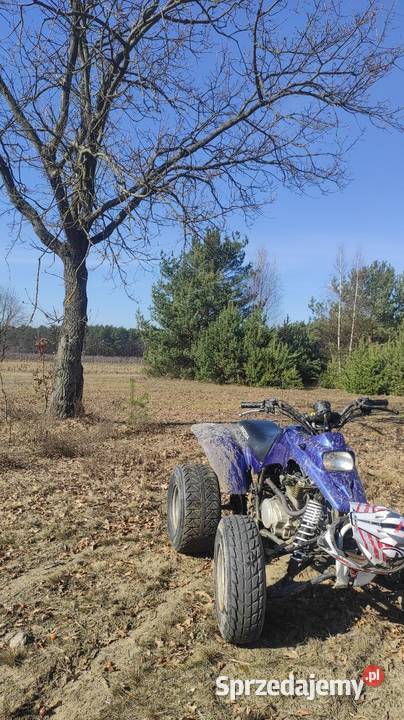 Barossa 170 zarejestrowana Bashan mazowieckie Stare Orzechowo