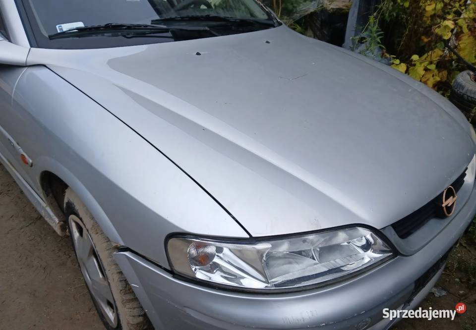 Opel Vectra B maska L157 Chełmno