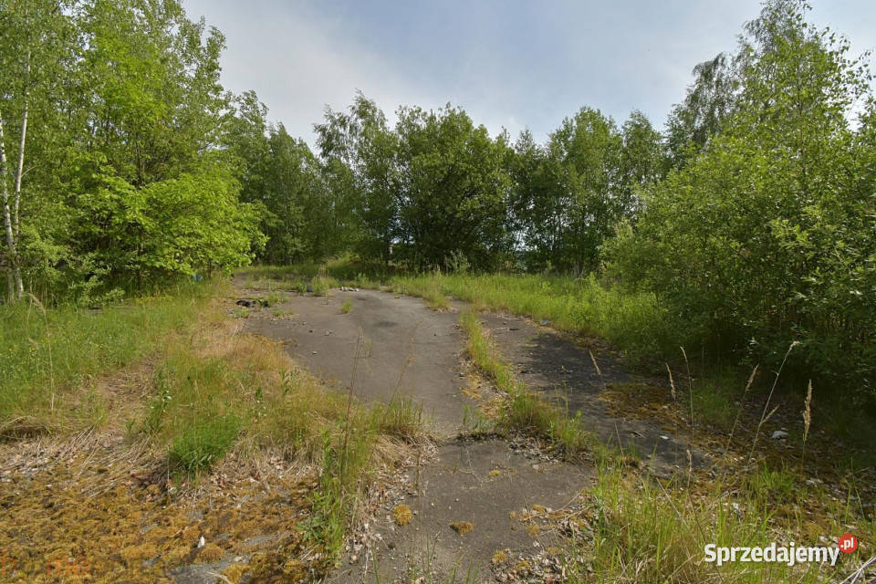 Działka Wałbrzych Ludowa 14508m2 Wynajem