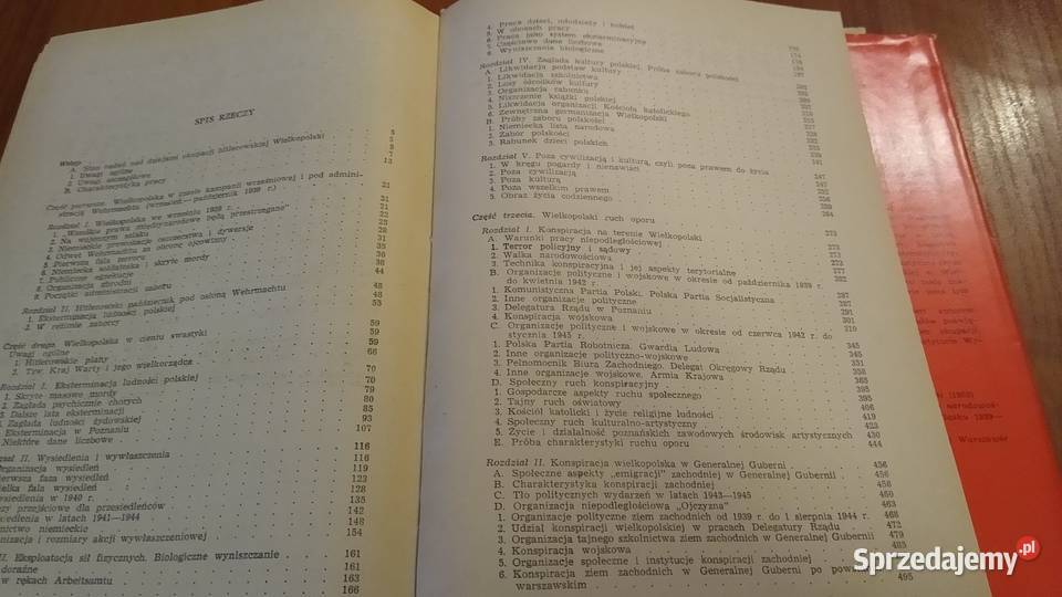 Wielkopolska w cieniu swastyki Edward Serwański Książki naukowe i popularnonaukowe