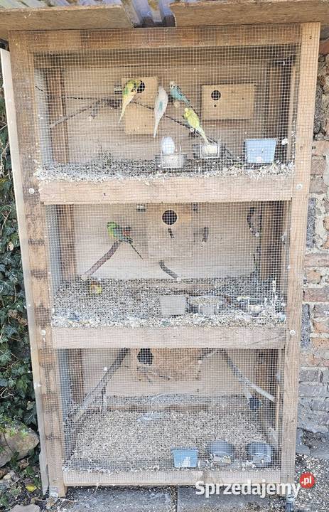 Klatkawoliera papugi śląskie Godów