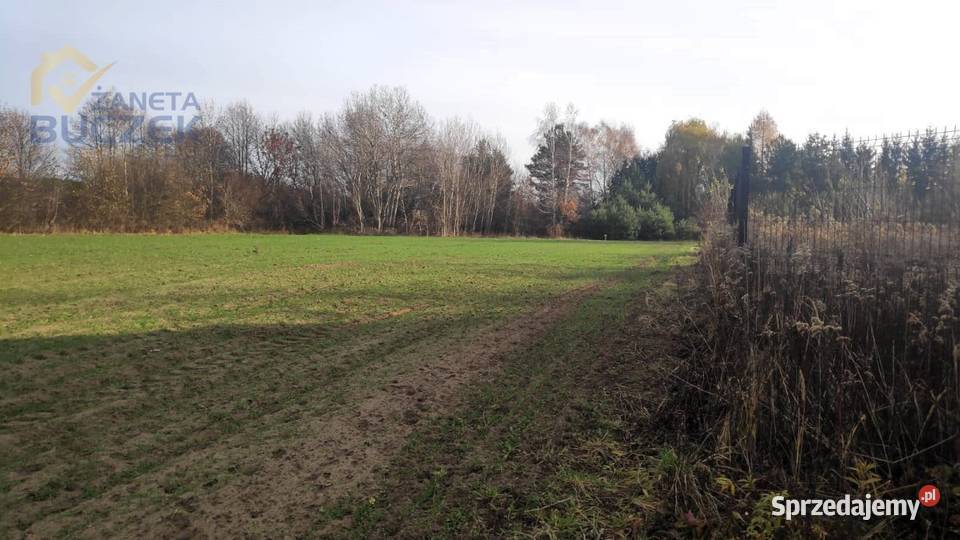 Sprzedam działki budowlanousługowe w Lubiejewie 80zł/m2 Lubiejew