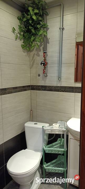 Kawalerka Głęboka 19 Centrum uczelni Nieruchomości