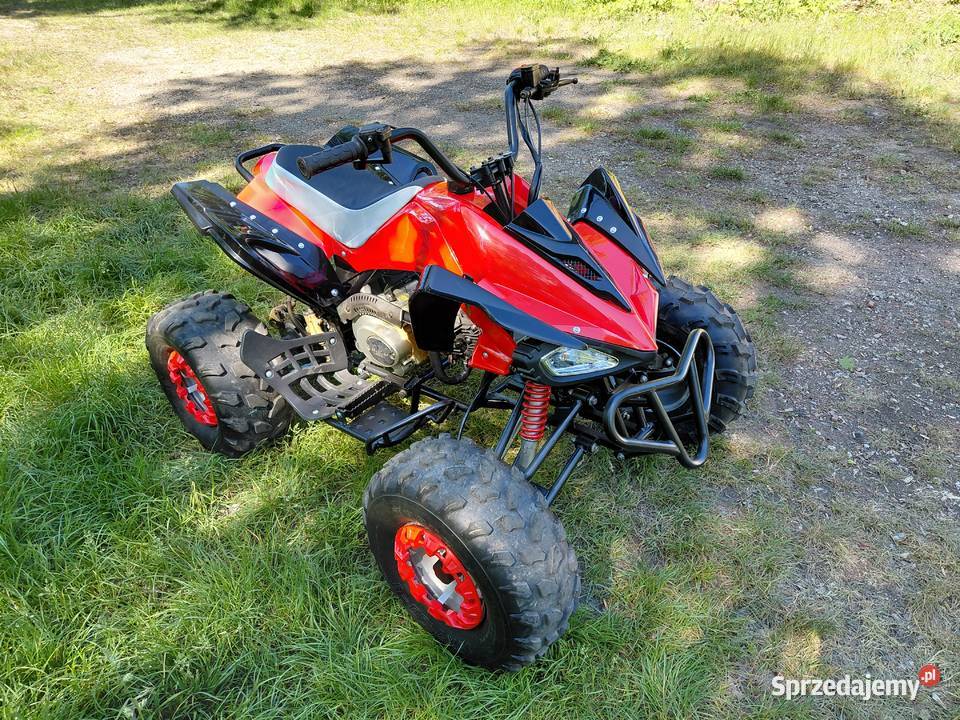 Quad 110 remoncie panthera Lubin