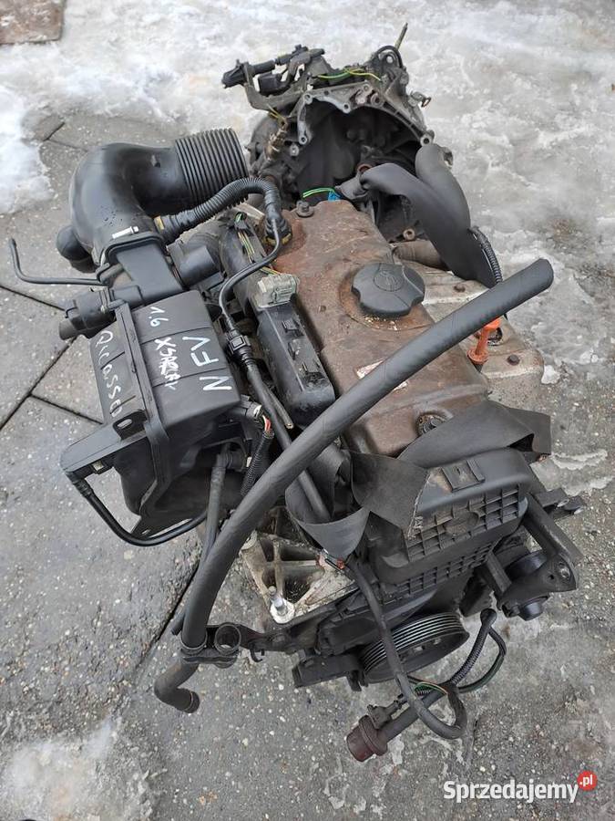 Citroen Xsara Picasso 16 skrzynia biegów kod osobowe Jastrzębie-Zdrój