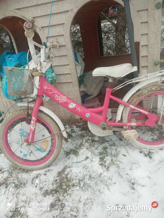 Rowerki dziewczęce różowe Milly Mally Zalesie