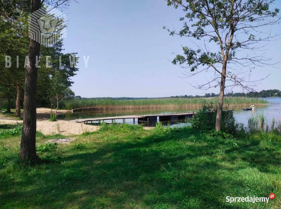 Działka 11200m2 Gorzewo Sprzedaż