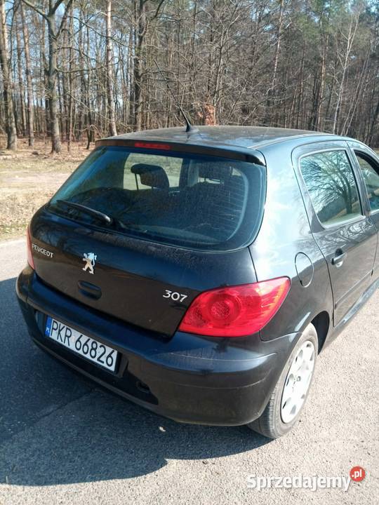 Peugeot 307 16 zarejestrowany PT OC małopolskie