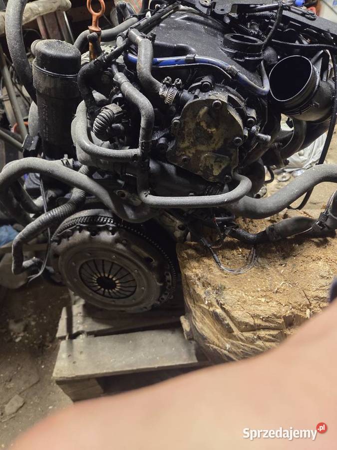 Sprzedam silnik 19 tdi Golf Ustrzyki Dolne