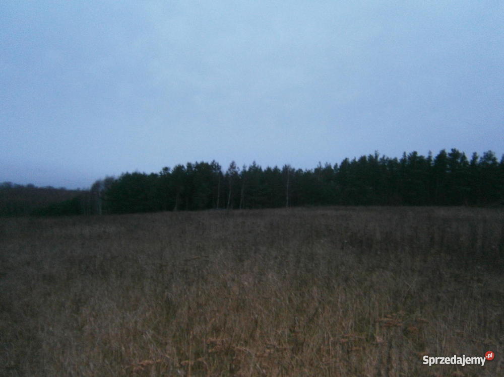 działke siedliskowa uzbrojona 3000m2 w wojewódz Dziechlino