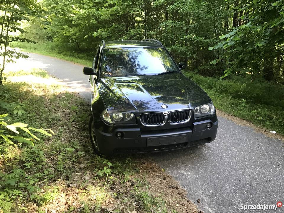 Anglik v5c lubelskie Chełm sprzedam