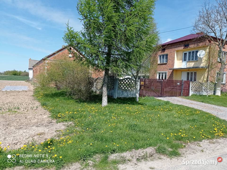 Sprzedam dom z budynkami gospodarczymi do zamieszkania Sprzedaż Guzówka-Kolonia