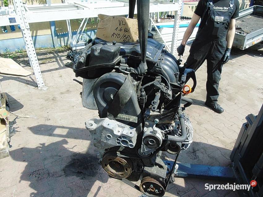 SILNIK NA CZĘŚCI 16 8V BEETLE BORA A3 8L GOLF IV Pozostałe Sosnowiec