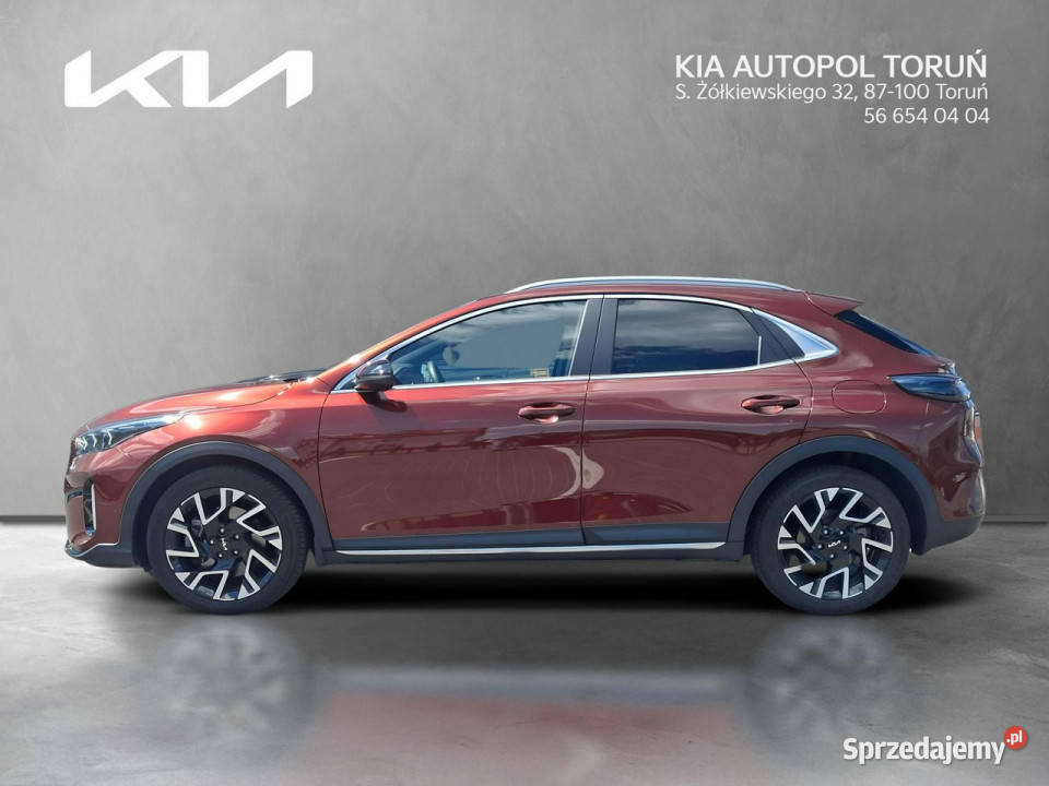 Kia XCeed FV2316 TGDI 7DCT Tribute Magma Red Toruń sprzedam