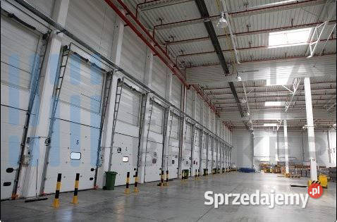 Hala klasyA Dąbrówka bez prowizji