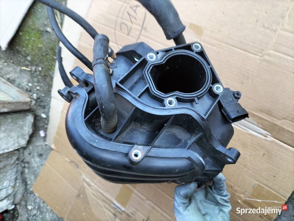 KIA CEED KOLEKTOR SSĄCY Kamień-Kolonia