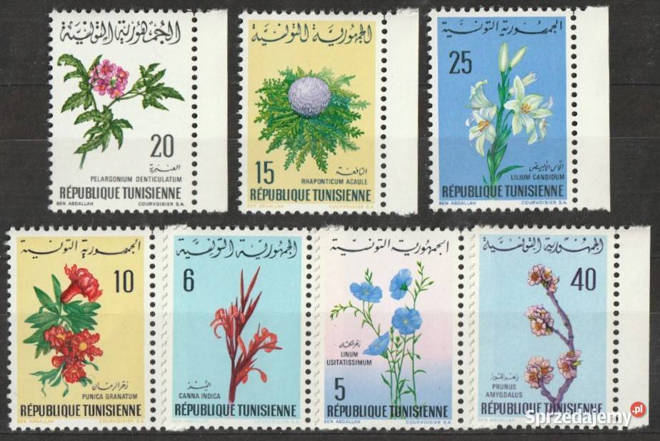 TUNEZJA FLORA KWIATY CZYSTE Antyki, Sztuka, Kolekcje Łódź