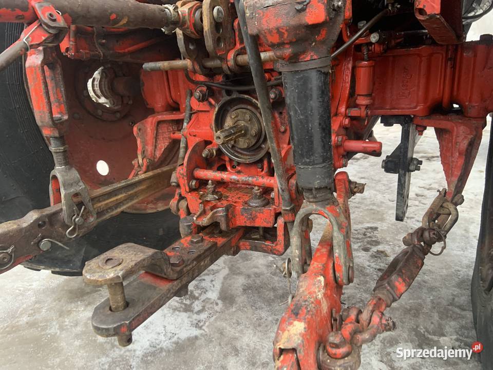 Mtz82 z turem Domaradz