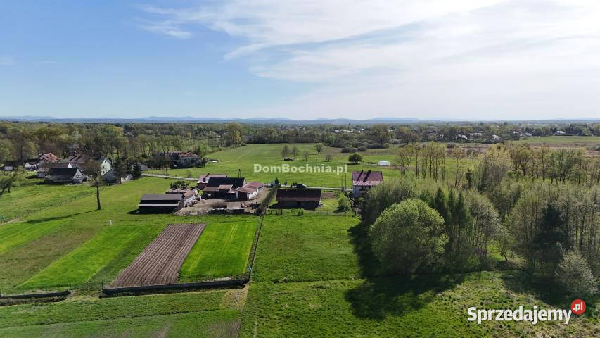 Grunt 13200m2 Dębina