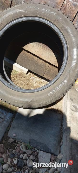 Opona Pirelli Samochodowe Bielsk Podlaski