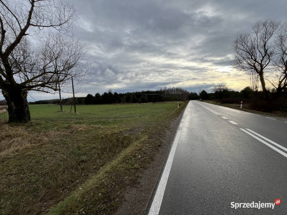 Duża działka inwestycyjna Wisły w Kłudziu asfalt