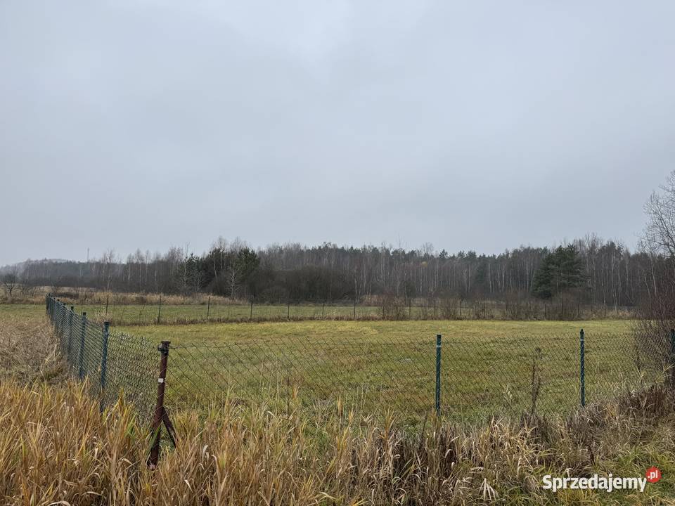 Działka budowlana 77m Dąbrowa Górnicza sprzedam