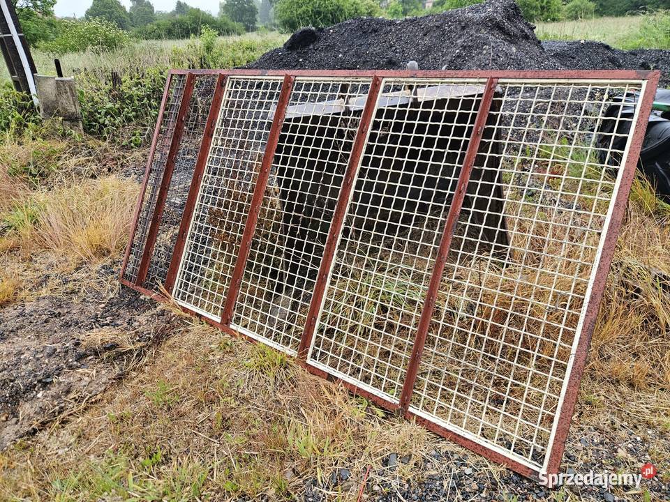 Rozsiewacz do Wapna i Nawozów AMAZONE ZG 6000 na Turów