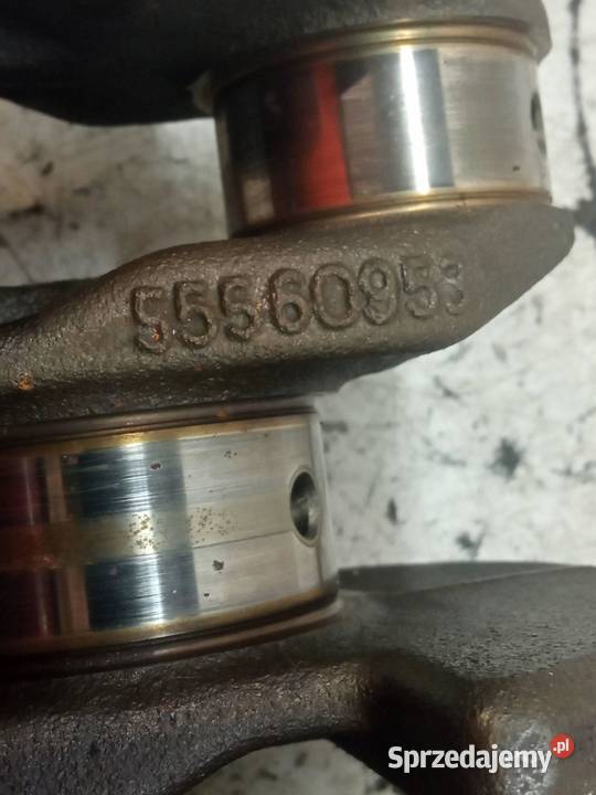 WAŁ KORBOWY 55560953 16 16V A16XER Opel Astra IV