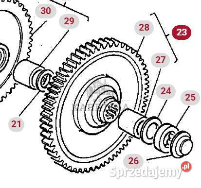 Massey Ferguson 3690 Koło Zębate Zębatka Zębnik Jastrzębniki