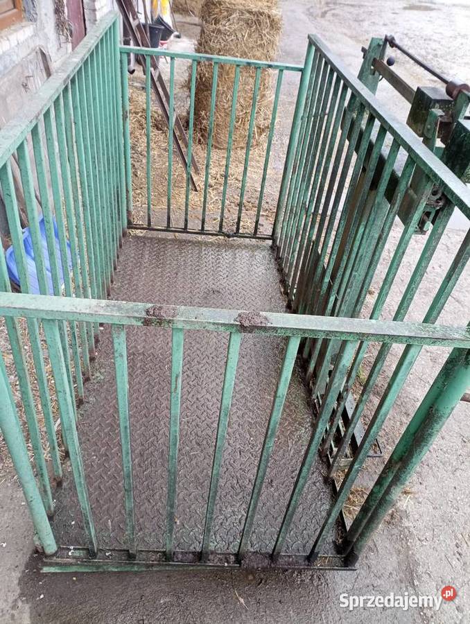 Waga do żywca bydła Nowy Korczyn