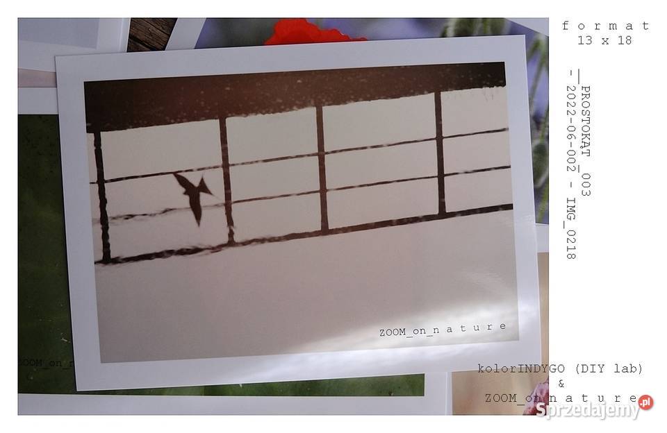 ZDJĘCIA przyrodnicze czI Wyposażenie wnętrz Witnica