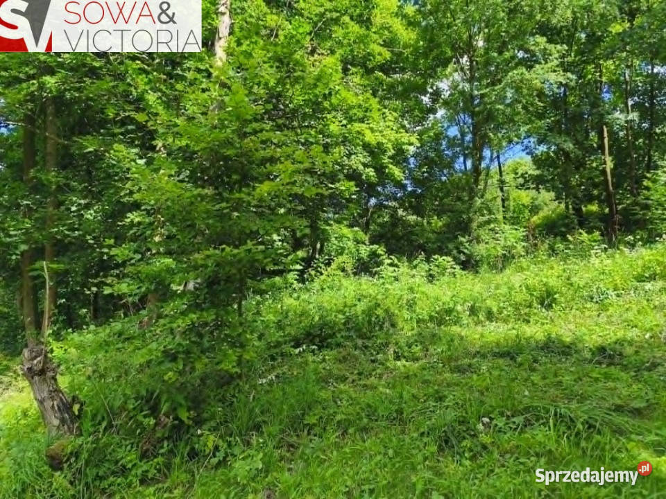 Działka rolnoleśna Stare Bogaczowice