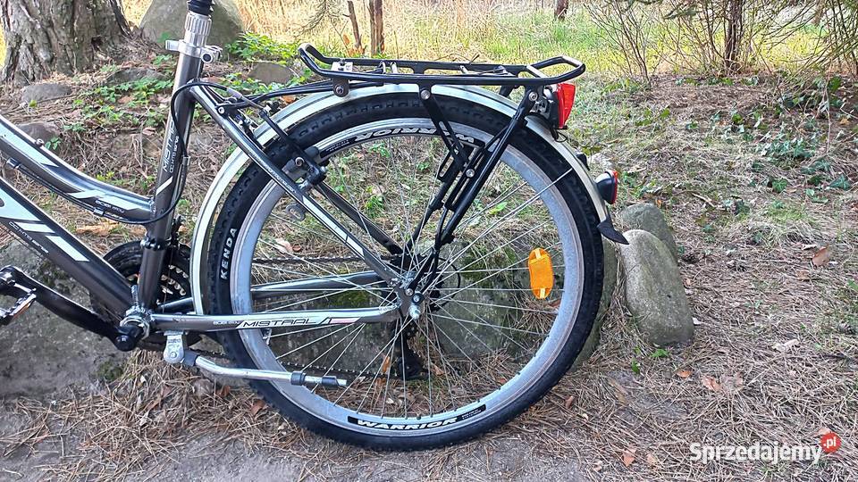 Alu Rower Miejski Damski Neuzer Mistral Damka