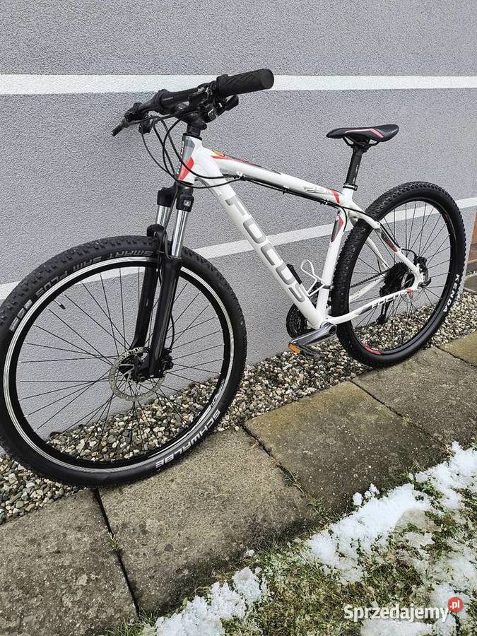 Rower górski Fokus