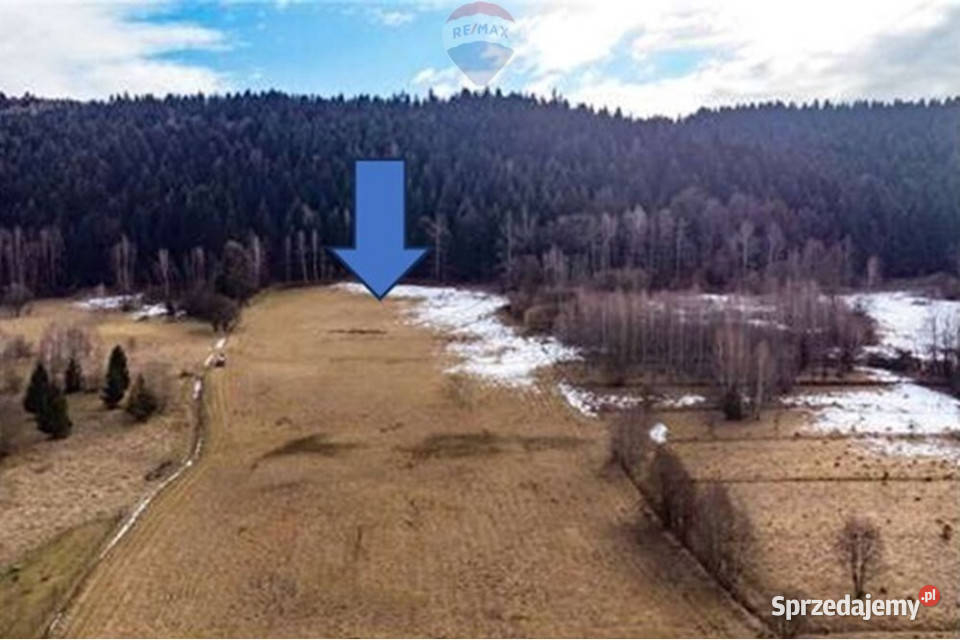 Duża 20 arów z dużym 2 HA prywatnym lasem Las